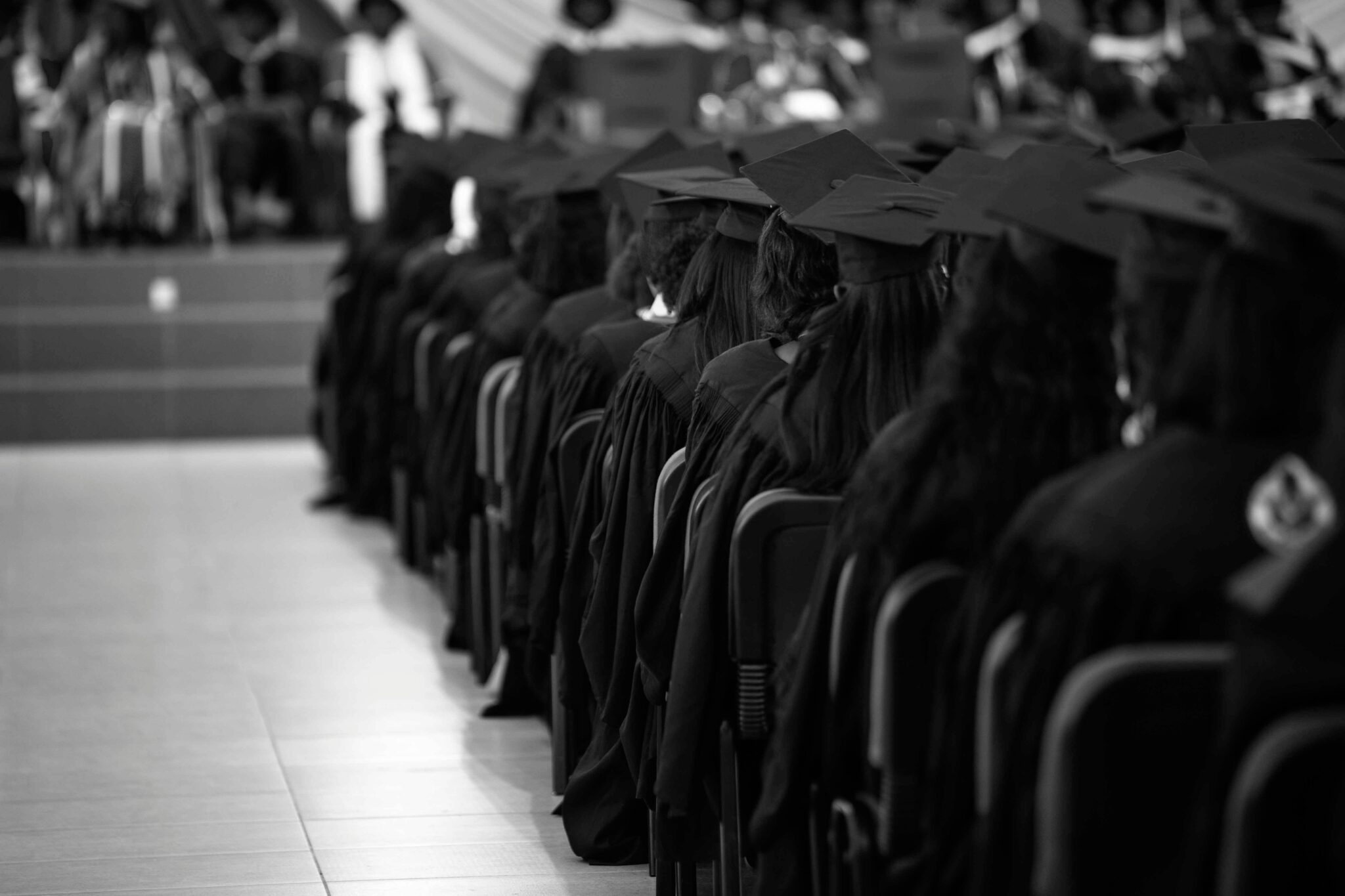 a line of people in graduation caps and gowns with their backs to the camera