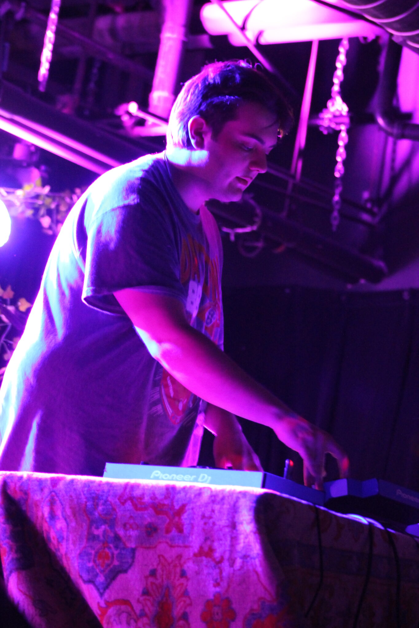 a DJ performs at a concert