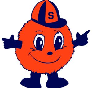 a drawing of a fluffy orange mascot with a face, hat and arms and legs